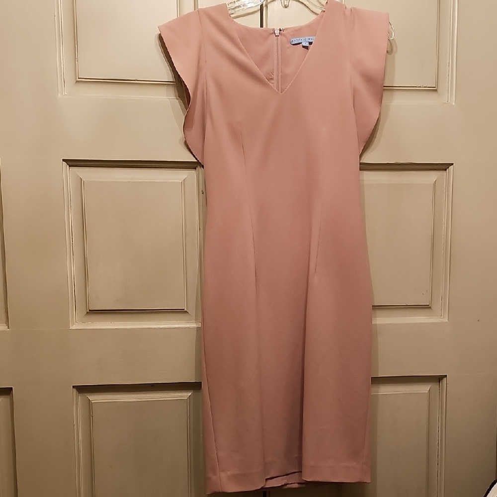 ANTONIO MELANI Blush Midi Dress